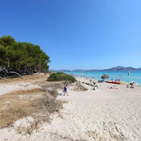 Owl La Marina - Enjoy Life By The Sea
