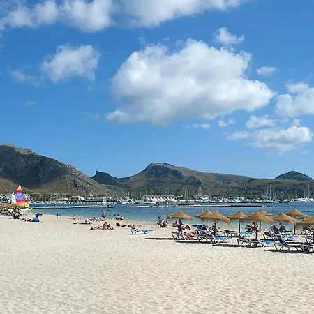 Owl La Marina - Enjoy Life By The Sea *